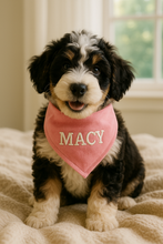 Personalized Bandana