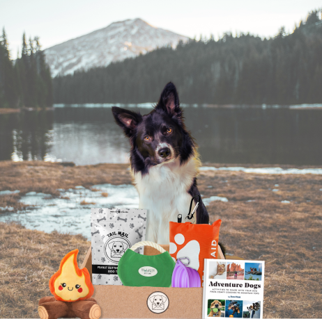 Adventure Tails