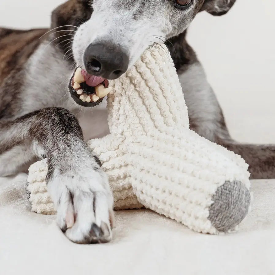 Breuer Enrichment Dog Toy