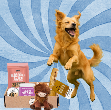 Happy Tails