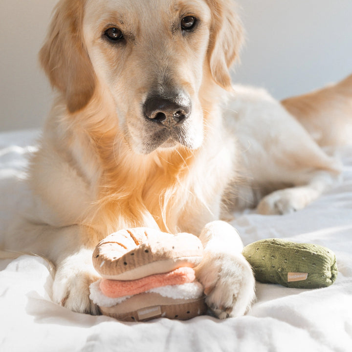Bagel and Pickle Enrichment