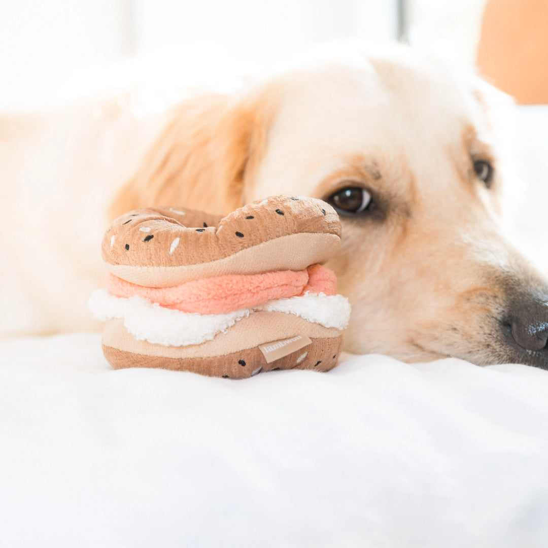 Bagel and Pickle Enrichment