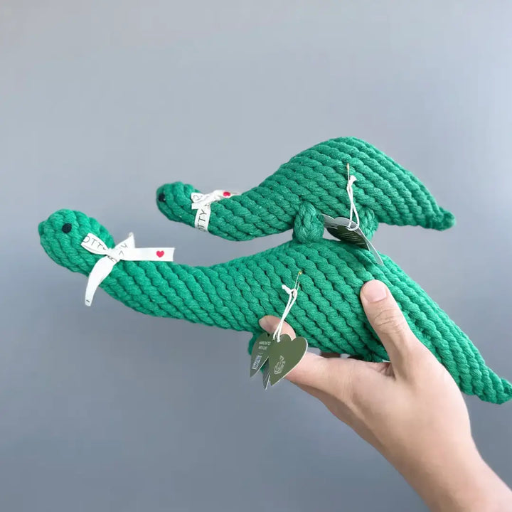 The Mighty Dino | Recycled Cotton Handmade Rope Toy