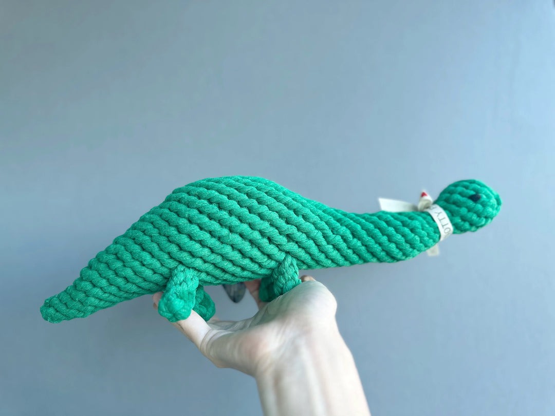 The Mighty Dino | Recycled Cotton Handmade Rope Toy
