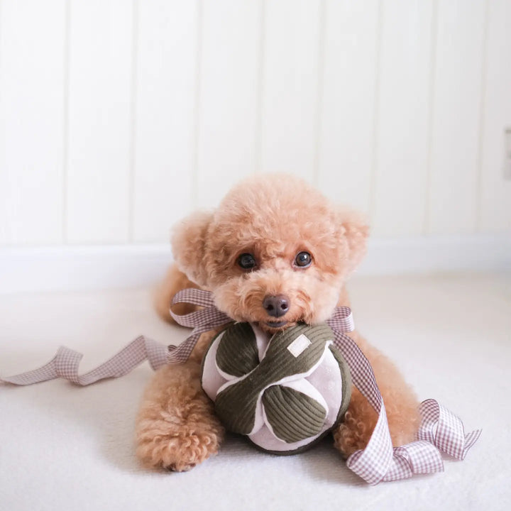 Monti Enrichment Toy