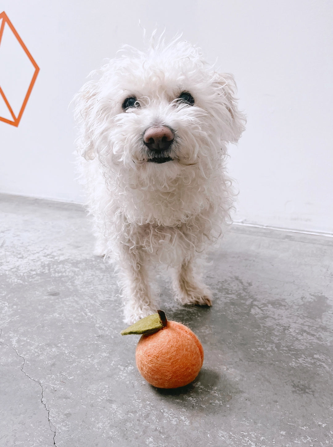 Wool Peach