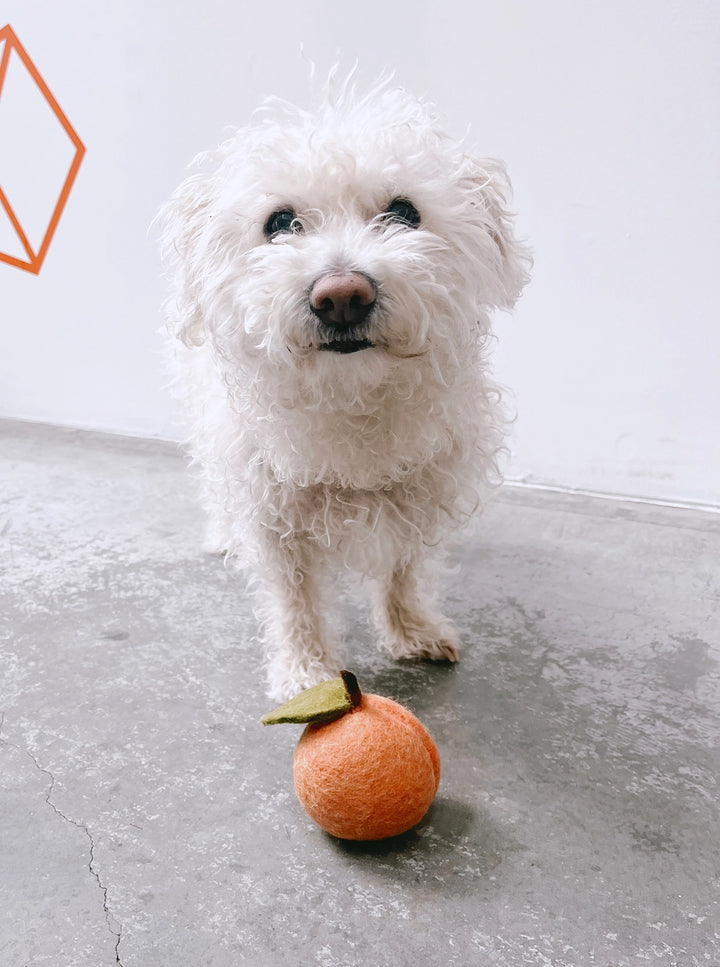 Wool Peach