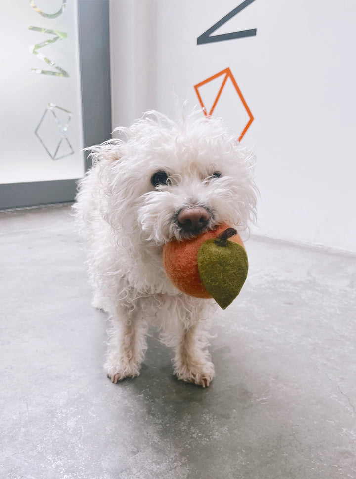 Wool Peach